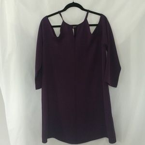 Oxford Sunday Mini Dress